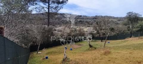 Propriedade situada em alte - terreno e tiny house