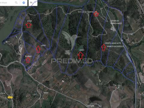 Herdade com 80 hectares com projecto multiusos