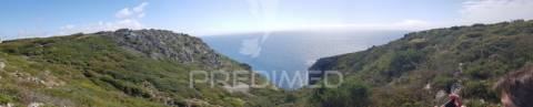 Lote de terreno com 40ha em sesimbra