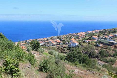 Terreno misto com 6180 m2 em gaula - ilha da madeira