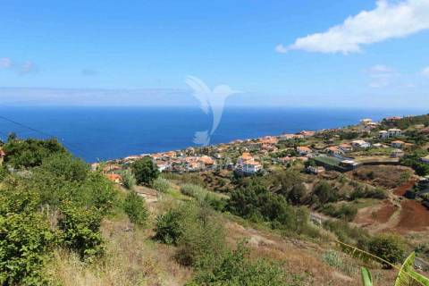 Terreno misto com 6180 m2 em gaula - ilha da madeira