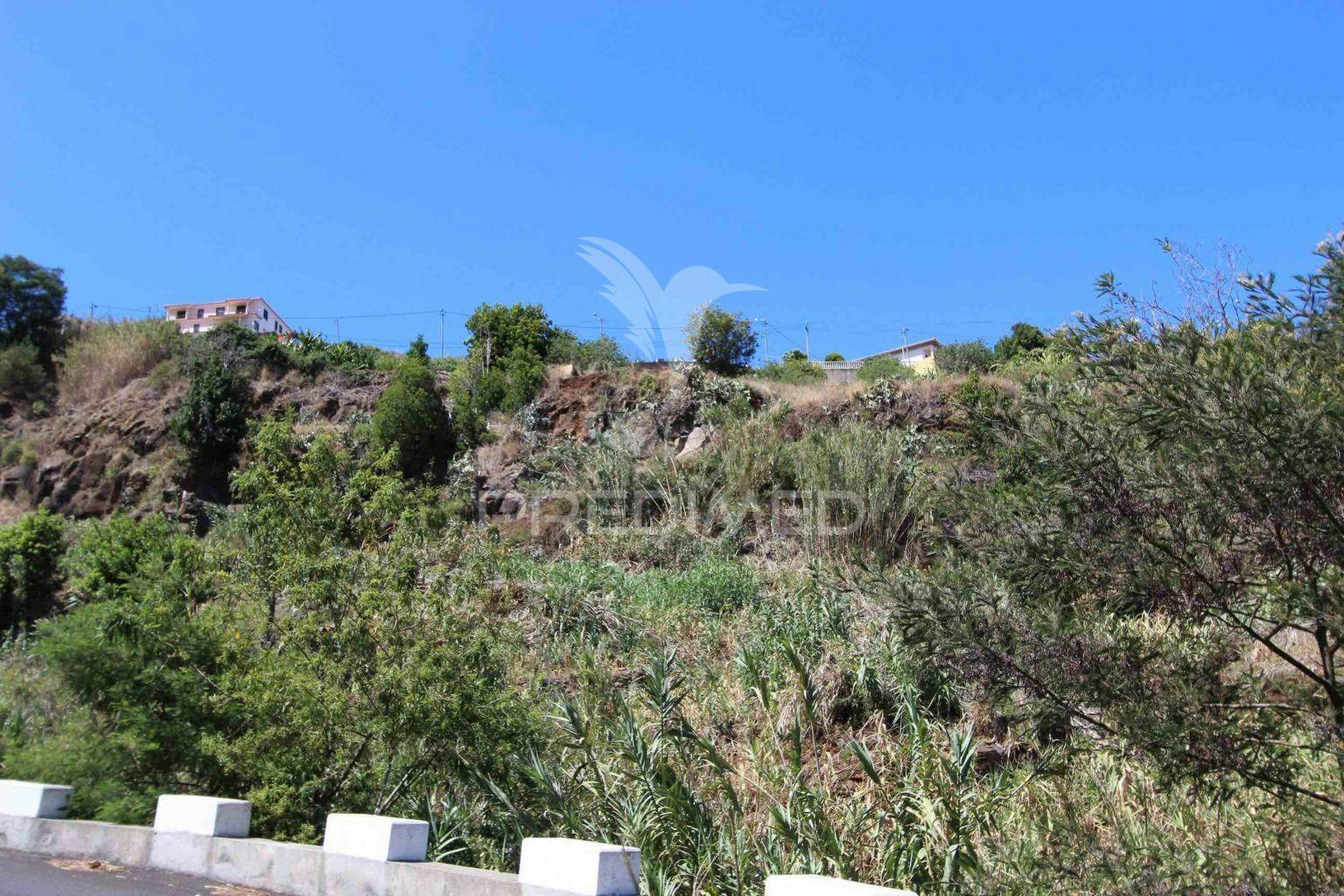 Terreno misto com 6180 m2 em gaula - ilha da madeira