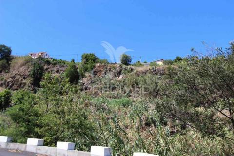 Terreno misto com 6180 m2 em gaula - ilha da madeira