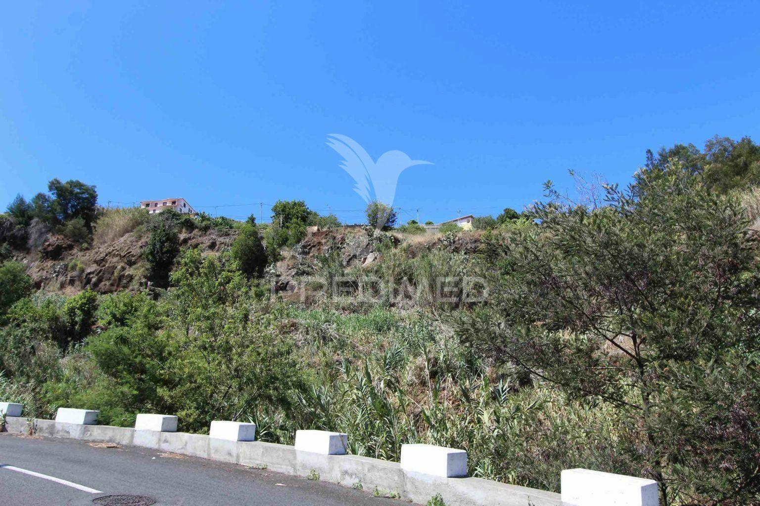 Terreno misto com 6180 m2 em gaula - ilha da madeira