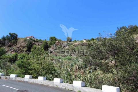 Terreno misto com 6180 m2 em gaula - ilha da madeira