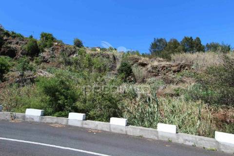 Terreno misto com 6180 m2 em gaula - ilha da madeira