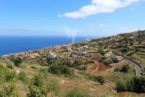 Terreno misto com 6180 m2 em gaula - ilha da madeira