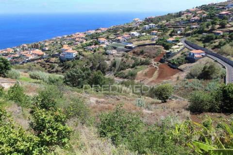 Terreno misto com 6180 m2 em gaula - ilha da madeira
