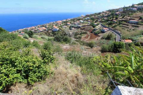 Terreno misto com 6180 m2 em gaula - ilha da madeira