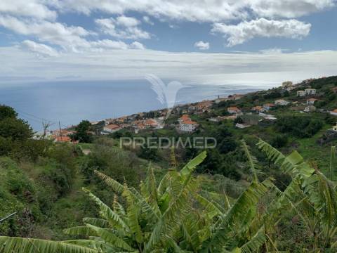Terreno misto com 6180 m2 em gaula - ilha da madeira