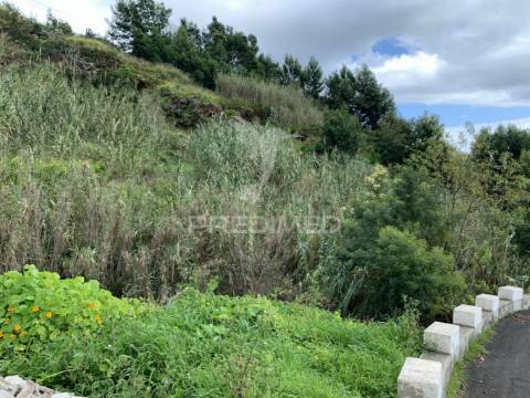 Terreno misto com 6180 m2 em gaula - ilha da madeira