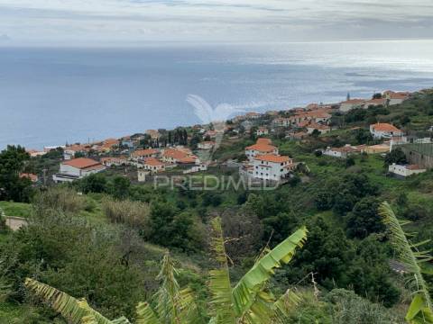 Terreno misto com 6180 m2 em gaula - ilha da madeira