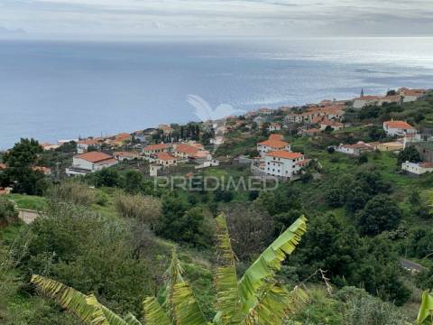 Terreno misto com 6180 m2 em gaula - ilha da madeira