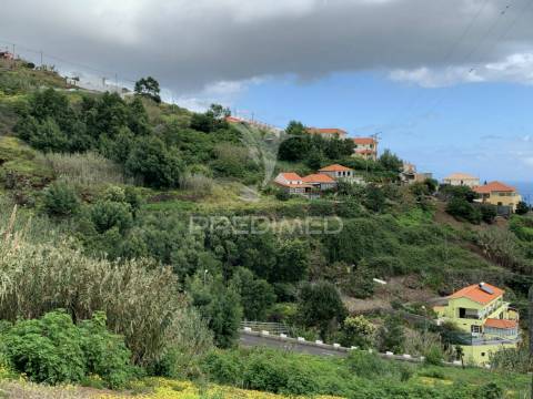 Terreno misto com 6180 m2 em gaula - ilha da madeira