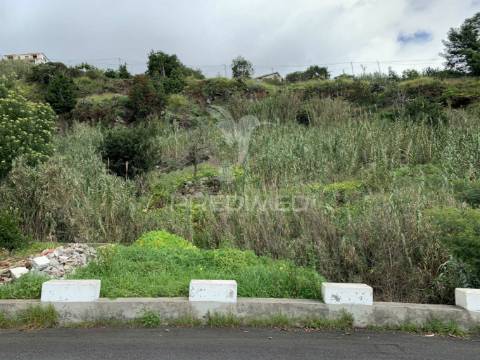 Terreno misto com 6180 m2 em gaula - ilha da madeira