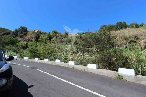 Terreno misto com 6180 m2 em gaula - ilha da madeira