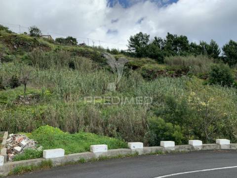 Terreno misto com 6180 m2 em gaula - ilha da madeira