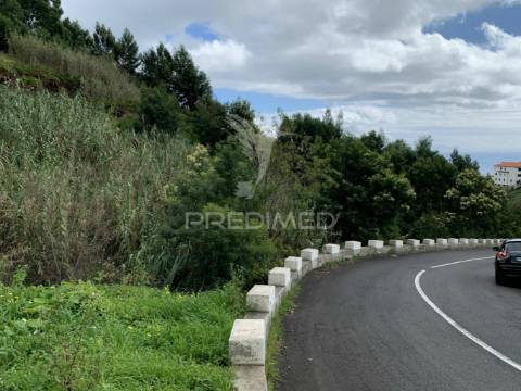 Terreno misto com 6180 m2 em gaula - ilha da madeira