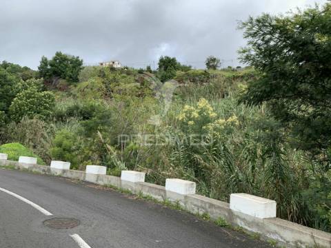 Terreno misto com 6180 m2 em gaula - ilha da madeira