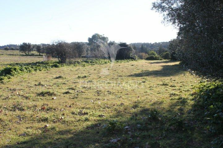 Quinta