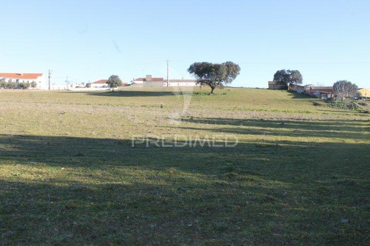 Quinta