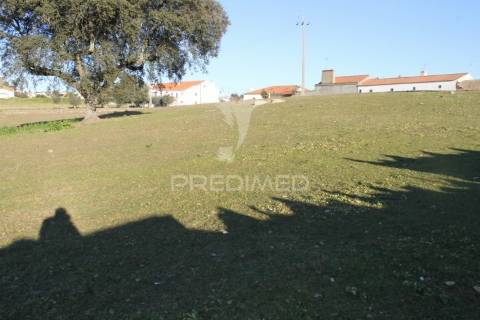Quinta