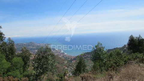  terreno em câmara de lobos 700m2 