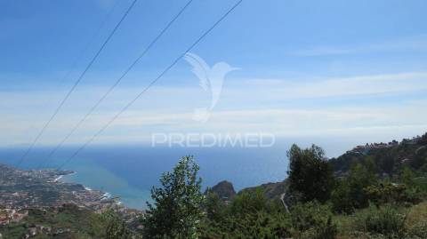  terreno em câmara de lobos 700m2 