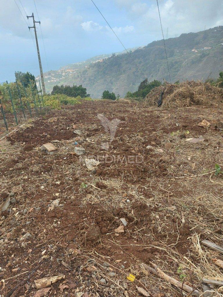 Terreno urbanizável área 1899 m2, são joão - ribeira brava