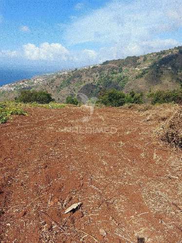 Terreno urbanizável área 1899 m2, são joão - ribeira brava