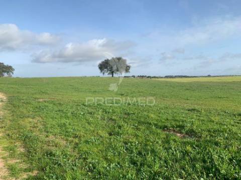 Herdade  27 hectares