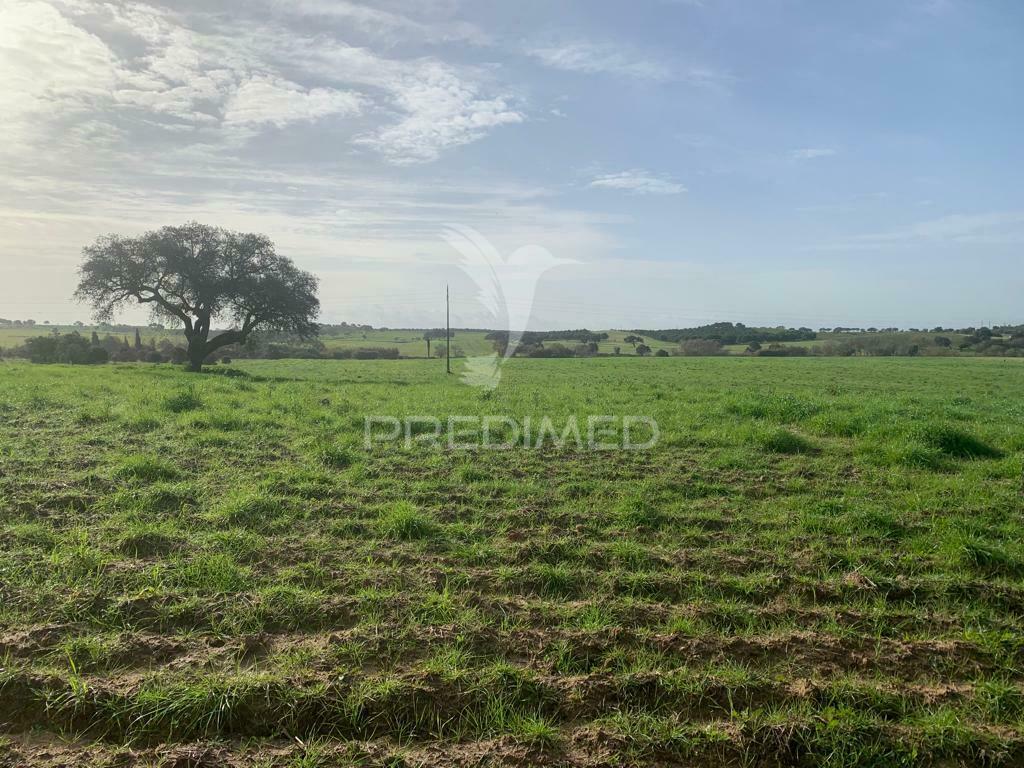 Herdade  27 hectares