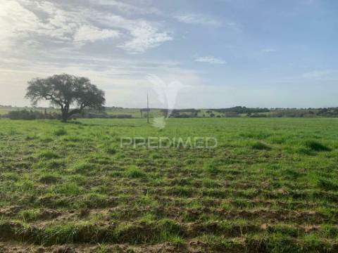 Herdade  27 hectares