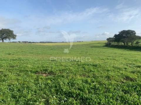 Herdade  27 hectares