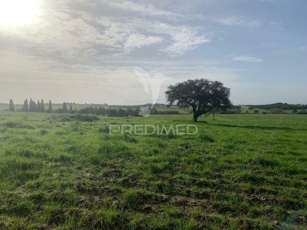 Herdade  27 hectares
