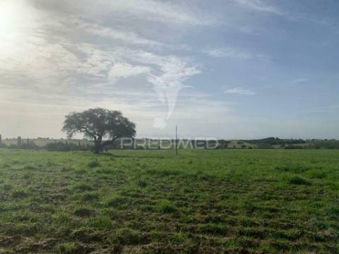 Herdade  27 hectares