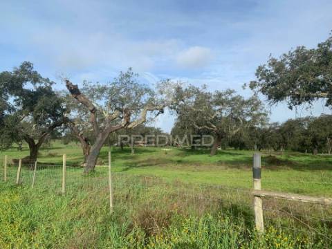 Herdade  27 hectares
