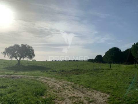 Herdade  27 hectares
