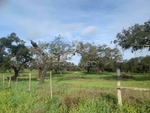 Herdade  27 hectares