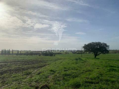 Herdade  27 hectares
