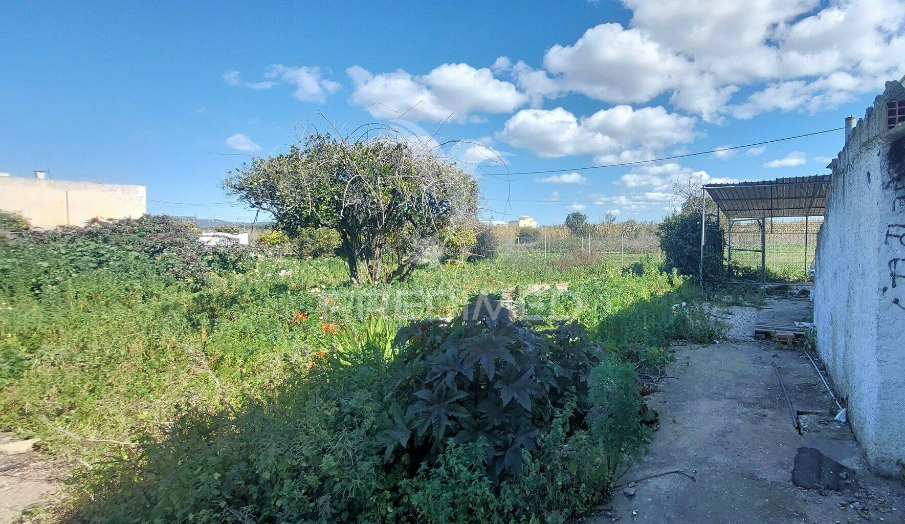 Terreno urbano