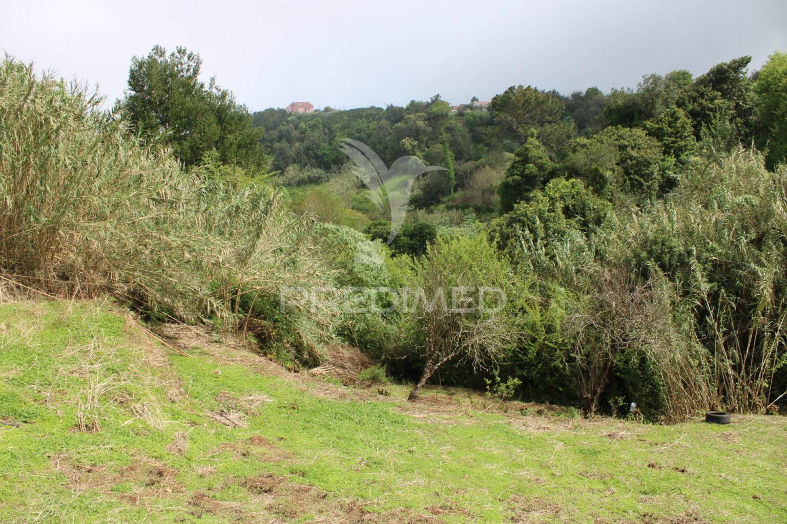 Terreno para construçao com 730 m2 em santana