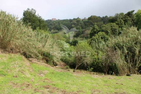Terreno para construçao com 730 m2 em santana