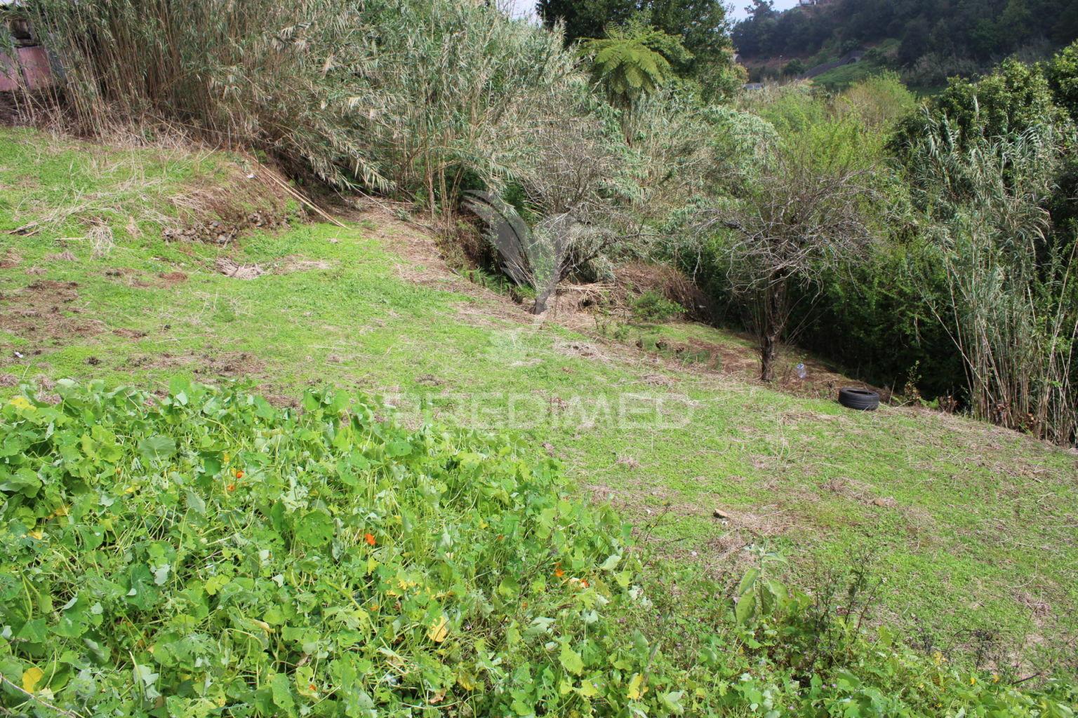 Terreno para construçao com 730 m2 em santana