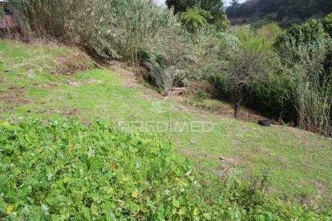 Terreno para construçao com 730 m2 em santana
