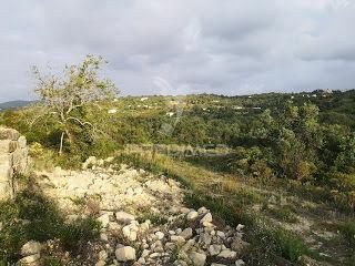 Santa barbara de nexe - terreno com ruína / land with ruin