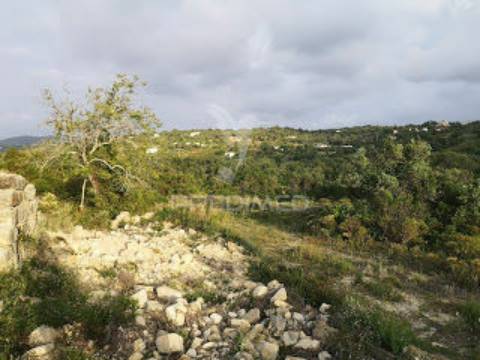 Santa barbara de nexe - terreno com ruína / land with ruin