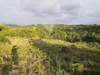 Santa barbara de nexe - terreno com ruína / land with ruin