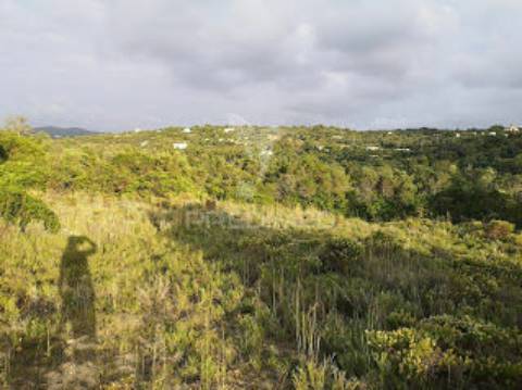 Santa barbara de nexe - terreno com ruína / land with ruin