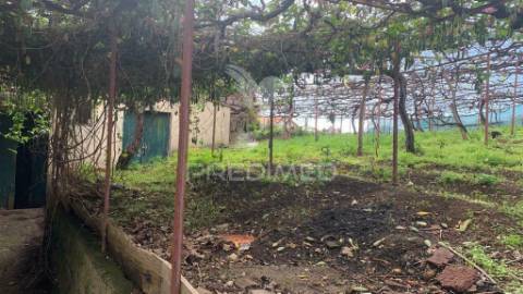Terreno rústico com capacidade de construção na ponta do sol - ilha da madeira